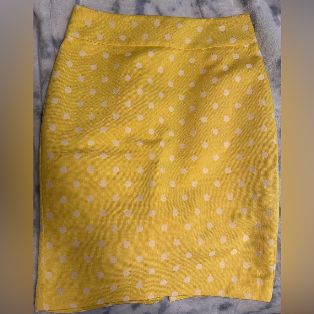Cute ann taylor skirt